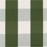 91517-Dekostoff-Karos-gruen-weiss-140cm-Breite--MG-0532.jpg Blickdichter Dekostoff mit Karos in Grün und Weiß aus deutscher Produktion – Vielseitig & Pflegeleicht Nahaufnahme