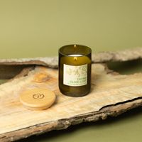Brennende Paddywax Eco Green Kerze Thyme & Olive Leaf im recycelten Glas auf Holz