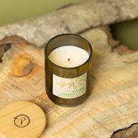 Brennende Paddywax Eco Green Kerze Thyme & Olive Leaf im recycelten Glas auf Holz