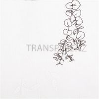 91899-Vorhangstoff-Gardinenstoff-Blumen-Graeser-halbtransparent-wollweiss-schwarz-160cm-Stoffbreite--MG-2863.jpg Halbtransparenter Vorhangstoff mit Blumen und Gräsern – made in Germany mit hervorgehobener Transparenz
