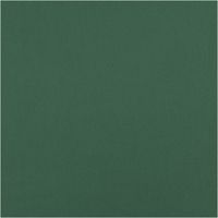 91924-Badeshorts-Stoff-recycelt-wasserabweisend-schnell-trocknend-uni-dunkelgruen-1-48m-Breite--MG-2168.jpg Badeshorts Stoff recycelt wasserabweisend schnell trocknend uni dunkelgrün 1,48m Breite Vollbild