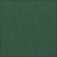 91924-Badeshorts-Stoff-recycelt-wasserabweisend-schnell-trocknend-uni-dunkelgruen-1-48m-Breite--MG-2169.jpg Badeshorts Stoff recycelt wasserabweisend schnell trocknend uni dunkelgrün 1,48m Breite Nahaufnahme