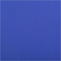 91957-Badeanzugstoff-UPF-50-bi-elastisch-recycelt-uni-koenigsblau-1-50m-Breite--MG-2118.jpg Badeanzugstoff uni königsblau – bi-elastisch, recycelt, UV-Schutz | 1,50 m Breite Vollbild