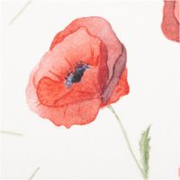 92026-Vorhangstoff-Baumwollstoff-Popeline-Watercolour-Poppy-Mohnblumen-vanille-rot-1-40m-Breite--MG-3666.jpg Popeline Baumwollstoff – Watercolour Poppy vanille rot Detailaufnahme