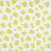 92054-Baumwollstoff-Percale-Algarve-Zitronen-gruen-1-5m-Breite--MG-3613.jpg Baumwollstoff „Algarve“ mit Zitronen-Print in Gelb und Grün auf weißem Hintergrund – feine, glatte Percale-Qualität aus 100 % Baumwolle. Perfekt für Sommerkleidung, Accessoires oder frische Deko-Ideen - Vollbild