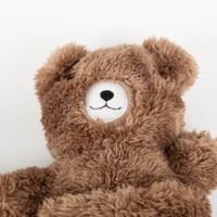 Kinder Bademantel Bär mit Teddy ab 1 Jahr – Flauschig & süß Teddy Motiv