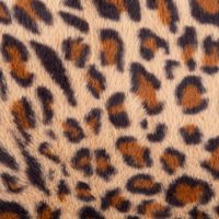 Diese weiche Kissenhülle in wilder Leoparden-Optik von Magma besticht durch ihren kuscheligen Plüsch in Braun-Nuancen bei den Maßen 50 x 50 cm und setzt als gemütliches Wohnaccessoire einen stilvollen, tierischen Akzent auf jedem Sofa - Nahaufnahme