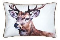 Rechteckiges Zierkissen mit realistischem Hirsch-Motiv auf weißem Velours, 40x60 cm