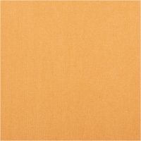 92281-Tischdeckenstoff-abwaschbar-Baumwollstoff-beschichtet-uni-camel-1-45m-Breite-IMG-6876.jpg Abwaschbarer beschichteter Baumwollstoff in Uni-Design, einfarbig in warmem Camelbraun, ideal für Tischdecken und pflegeleichte Nähprojekte - Nahaufnahme