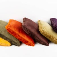 Kuschelkissen 45x45 cm in Wintergrün mit einer flauschigen Plüschseite und einer glatten Veloursseite – perfekt für gemütliche Wohnräume - mit anderen Kissen in Szene gesetzt