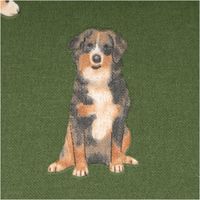 92528-Dekostoff-Halbpanama-Dog-Breed-Mix-Hunde-gruen-1-4m-Breite-IMG-7625.jpg Grüner Halbpanama-Dekostoff mit vielfältigen Hunderassen in naturgetreuen Farben, zeigt sitzende und stehende Hunde in verschiedenen Größen und Posen - Nahaufnahme