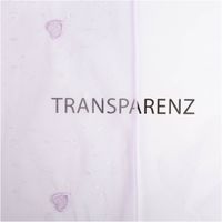 92602-Tuell-Stoff-Herzchen-Stickerei-und-Glitzer-lila-125cm-Breite-IMG-8527.jpg Transparenter Tüllstoff mit lila Herzchen-Stickerei und glitzernden Details auf hellem Grund - Transparenz