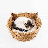 92721-Katzenkorb-handgewebt-mit-Kissen-44--50--18-cm-von-Boltze-----gemuetlicher-Rueckzugsort-fuer-Katzen-IMG-9320-Bearbeitet.jpg Handgewebter Katzenkorb von Boltze aus Seegras mit Katzenohr-Form. Das gemütliche Naturmaterial-Bett ist mit einem weichen, cremefarbenen Kissen ausgestattet und 44×50×18 Zentimeter groß - mit schlummernder Katze