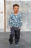 92780-French-Terry-Stoff-Leo-Digitaldruck-rosa-1-50m-Breite-Screenshot-2025-10-02-175953.jpg Junge in stahlblauem Hunde-Sweatshirt läuft, Vorderansicht