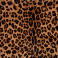 93078-Plueschstoff-Fellimitat-Leopard-braun-1-50m-Breite-IMG-7536.jpg Dieser hochwertige Plüschstoff Fellimitat Leopard braun 1,50m Breite besticht durch seine täuschend echte, weiche Felloptik mit markanten dunklen Flecken auf warmem, braunem Grund. Ein kuscheliger Stoff - Vollansicht