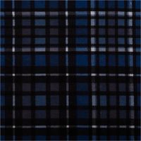 93118-Flanell-Stoff-Baumwollflanell-Karo-blau-1-47m-Breite-IMG-1519.jpg Baumwollflanell Stoff mit klassischem Karomuster in Blau-, Schwarz- und Weißtönen – weich, warm und ideal für Hemden, Pyjamas oder Winterdekorationen - Vollansicht