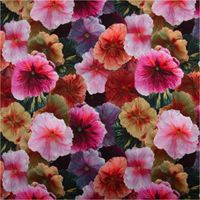 93151-French-Terry-Stoff-Blueten-Digitaldruck-rosa-bunt-angeraute-Innenseite-240g-qm-145cm-Breite-IMG-1643.jpg French Terry Stoff mit großflächigem Blüten-Digitaldruck in Rosa und Bunt – weicher Sweatstoff mit angerauter Innenseite, ideal für Pullover, Kleider oder gemütliche Loungewear - Vollansicht