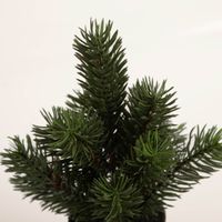 Kleiner künstlicher Tannenbaum im Topf, ca. 22 cm hoch, realistische grüne Nadeln, dekorativer Kunstbaum im schwarzen Topf, ideal für winterliche Tisch- und Weihnachtsdekorationen - Nahaufnahme