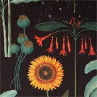 93355-Baumwollstoff-Halbpanama-Blumen-Palmenblaetter-schwarz-bunt-1-40m-Breite-IMG-3296.jpg Baumwollstoff Halbpanama schwarz bunt mit Blumen und Palmenblättern auf dunklem Hintergrund. Der detailreiche Stoff zeigt ein exotisches Floralmotiv und ist 1,40 m breit - Nahaufnahme