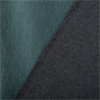 Hochwertiges Kunstleder in elegantem, metallisch glänzendem Meergrün mit einer authentischen Lederstruktur. Das 1,40 m breite Material mit Viskose-Rückseite ist ideal für Taschen, Polsterarbeiten oder trendige Bekleidung geeignet - mit Rueckseite