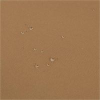 93574-Outdoor-Stoff-Waterproof-wasserdicht-Polyester-uni-camel-1-45m-Breite-IMG-5069.jpg Der robuste Outdoor Stoff Waterproof wasserdicht Polyester uni camel 1,45m Breite bietet zuverlässigen Schutz vor Nässe. Ideal für langlebige Gartenmöbelauflagen, Taschen und wetterfeste Bekleidung - Nahaufnahme