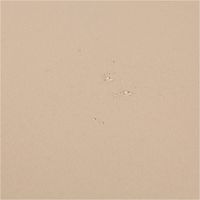 93576-Outdoor-Stoff-Waterproof-wasserdicht-Polyester-uni-beige-1-45m-Breite-IMG-5096.jpg Der robuste Outdoor Stoff Waterproof wasserdicht Polyester uni beige 1,45m Breite bietet zuverlässigen Schutz vor Nässe. Ideal für langlebige Gartenmöbelauflagen, Taschen und wetterfeste Bekleidung - Nahaufnahme