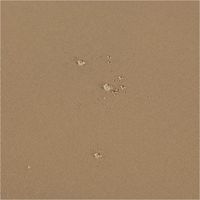 Der robuste Outdoor Stoff Waterproof wasserdicht Polyester uni taupe 1,45m Breite bietet zuverlässigen Schutz vor Nässe. Ideal für langlebige Gartenmöbelauflagen, Taschen und wetterfeste Bekleidung - Detailaufnahme