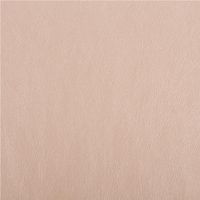 93604-Kunstleder-Lederimitat-Kreativleder-Polsterleder-Bekleidungsleder-mit-Viskose-Champagner-Metallic-1-4m-Breite-IMG-4272.jpg Hochwertiges Kunstleder in elegantem Champagner Metallic mit einer Rückseite aus Viskose für angenehmen Tragekomfort. Das 1,4 m breite Material eignet sich perfekt für modische Bekleidung, Accessoires oder Polsterarbeiten - Nahaufnahme