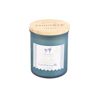Die hochwertige Duftkerze Sojakerze Coastal Lush Palms im Glas mit Holzdeckel 40 Std Brenndauer von Paddywax besticht durch ihr matt-blaues Glasdesign. Ideal für sommerliche Frische - Freistellerbild