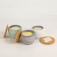 93762-Duftkerze-Sojakerze-Sonora-Concrete-Candle-85g-Purple-Wildflowers-und-Birch-von-Paddywax-IMG-5679.jpg Die hochwertige Duftkerze Sojakerze Sonora Concrete Candle 85g Purple Wildflowers & Birch von Paddywax besticht durch ihr graues Betongefäß mit weißem Ethno-Muster und Holzdeckel. Ideal für natürliche Akzente - mit weiteren Duftkerzen praesentiert