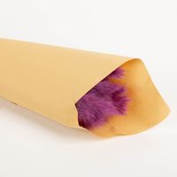 Das hochwertige Pampasgras getrocknet Bund mit 15 Stilen lila 70-80cm von Werner Voss besticht durch seine kräftige Farbe für ausdrucksstarke, edle und stilvolle Akzente in Ihrem Zuhause - Nahaufnahme
