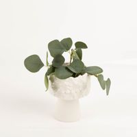 94080-Vase-Bluemchen-Keramik-weiss-14-5cm-hoch-von-Boltze-IMG-1524.jpg Stilvolle weiße Keramikvase von Boltze mit einem reliefartigen Blütendesign. Die 14,5 cm hohe Vase auf einem eleganten Standfuß setzt florale Arrangements perfekt in Szene und verschönert jedes Wohnambiente - mit Pflanze in Szene gesetzt