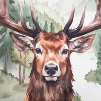 Dieses hochwertige 3er Set Geschirrtücher aus Baumwolle mit kunstvollen Hirsch- und Waldmotiven besticht durch sein französisches Dessin bei 50x70 cm Größe. Ideal als stilvoller Blickfang für die Küche oder als Geschenk - Hirschkopfdesign Nahaufnahme