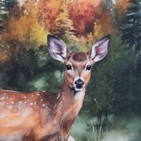 94106-Geschirrtuecher-Hirsch-Wald-3er-Set-aus-Baumwolle-50x70-cm-franzoesisches-Dessin-IMG-9536.jpg Dieses hochwertige 3er Set Geschirrtücher aus Baumwolle mit kunstvollen Hirsch- und Waldmotiven besticht durch sein französisches Dessin bei 50x70 cm Größe. Ideal als stilvoller Blickfang für die Küche oder als Geschenk - Rehdesign Nahaufnahme
