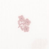 94140-Musselin-Stoff-Double-Gauze-Bluemchen-Stickerei-weiss-rosa-1-35m-Breite-IMG-9337.jpg Weißer Musselin aus Double Gauze mit 1,35m Breite und filigraner Blumen-Stickerei. Kleine, mauve-rosafarbene Blütenmotive verteilen sich dezent auf dem hellen, strukturierten Baumwollstoff für ein besonders luftiges und romantisches Design - Detailaufnahme