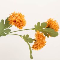 94179-Clayre-und-Eef-Kunstblume-64cm-ocker-gruen-IMG-9907.jpg Diese dekorative Kunstblume von Clayre & Eef besticht durch ihre drei voluminösen Blütenköpfe in warmem Ocker und realistisch gestaltete grüne Blätter. Mit 64 cm Länge setzt sie langlebige Akzente - Nahaufnahme