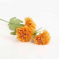 94179-Clayre-und-Eef-Kunstblume-64cm-ocker-gruen-IMG-9908.jpg Diese dekorative Kunstblume von Clayre & Eef besticht durch ihre drei voluminösen Blütenköpfe in warmem Ocker und realistisch gestaltete grüne Blätter. Mit 64 cm Länge setzt sie langlebige Akzente - Detailaufnahme