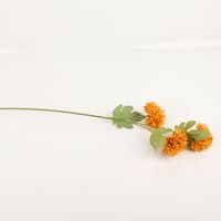 94179-Clayre-und-Eef-Kunstblume-64cm-ocker-gruen-IMG-9909.jpg Diese dekorative Kunstblume von Clayre & Eef besticht durch ihre drei voluminösen Blütenköpfe in warmem Ocker und realistisch gestaltete grüne Blätter. Mit 64 cm Länge setzt sie langlebige Akzente - Vollansicht