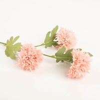 Diese dekorative Kunstblume von Clayre & Eef besticht durch drei flauschige Blütenköpfe in zartem Rosa und grüne Blätter. Mit 64 cm Länge setzt sie langlebige, florale Akzente in jedem Raum - Detailaufnahme