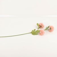 Diese dekorative Kunstblume von Clayre & Eef besticht durch drei flauschige Blütenköpfe in zartem Rosa und grüne Blätter. Mit 64 cm Länge setzt sie langlebige, florale Akzente in jedem Raum - Vollansicht