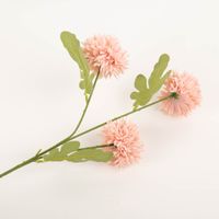 94180-Clayre-und-Eef-Kunstblume-64cm-rosa-gruen-IMG-9902.jpg Diese dekorative Kunstblume von Clayre & Eef besticht durch drei flauschige Blütenköpfe in zartem Rosa und grüne Blätter. Mit 64 cm Länge setzt sie langlebige, florale Akzente in jedem Raum - Nahaufnahme