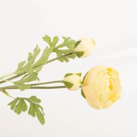 Diese künstliche Ranunkel von Clayre & Eef überzeugt durch ihre naturgetreue Optik in hellem Gelb und Grün. Mit einer Länge von 70 cm bietet sie eine langlebige und pflegeleichte Dekoration - Nahaufnahme