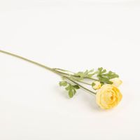 94183-Clayre-und-Eef-Kunstblume-Ranunkel-70cm-gelb-gruen-IMG-9918.jpg Diese künstliche Ranunkel von Clayre & Eef überzeugt durch ihre naturgetreue Optik in hellem Gelb und Grün. Mit einer Länge von 70 cm bietet sie eine langlebige und pflegeleichte Dekoration - Vollansicht