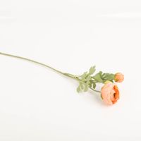 Diese künstliche Ranunkel von Clayre & Eef überzeugt durch ihre naturgetreue Optik in Lachs und Grün. Mit einer Länge von 70 cm bietet sie eine langlebige und pflegeleichte Dekoration - Vollansicht