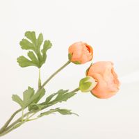 94184-Clayre-und-Eef-Kunstblume-Ranunkel-70cm-lachs-gruen-IMG-9912.jpg Diese künstliche Ranunkel von Clayre & Eef überzeugt durch ihre naturgetreue Optik in Lachs und Grün. Mit einer Länge von 70 cm bietet sie eine langlebige und pflegeleichte Dekoration - Detailaufnahme