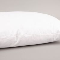 Diese hochwertige Kissenfüllung von PAD bietet mit einer Mischung aus Federn und Synthetik (440g) optimalen Stützkomfort. Der Bezug aus reiner Baumwolle ist atmungsaktiv, waschbar und mit 30x50 cm die ideale Basis für Ihre Dekokissen - von der Seite praese