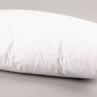 94239-PAD-Kissenfuellung-Federn-und-Synthetik-waschbar-500gr-mit-Baumwollbezug-40x60cm-IMG-9970.jpg Diese hochwertige Kissenfüllung von PAD bietet mit einer Mischung aus Federn und Synthetik (500g) einen angenehmen Stützkomfort. Der Bezug aus reiner Baumwolle ist atmungsaktiv, waschbar und mit 40x60 cm die perfekte Ergänzung für Ihre Dekokissen - von der
