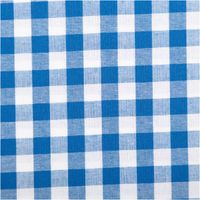 Dieser garngefärbte Baumwollstoff in Popeline-Qualität besticht durch seine klassischen, mittelgroßen Vichy-Karos in Himmelblau und Weiß, die bei einer Breite von 1,44 m eine frische und zeitlose Optik für hochwertige Nähprojekte bieten - Nahaufnahme