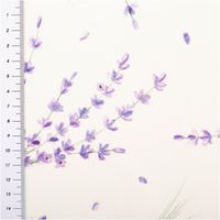 Hochwertiger Baumwoll-Popeline mit fotorealistischem Lavendel-Digitaldruck auf weißem Grund. Die 1,40 m breite Meterware ist glatt und fein gewebt – ideal für sommerliche Vorhänge, Kissen, Tischwäsche oder leichte Bekleidung - mit Massband