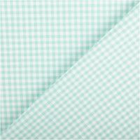 Garngefärbter Baumwoll-Popeline mit 2,7 mm Karos in Mint und Weiß. Die 1,44 m breite Meterware ist hochwertig und ideal für zeitlose Blusen, Hemden oder frische Landhaus-Deko geeignet - mit Rueckseite